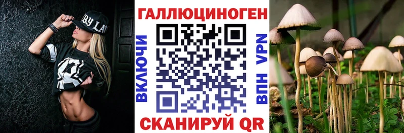 Псилоцибиновые грибы GOLDEN TEACHER  blacksprut ссылки  Жигулёвск 